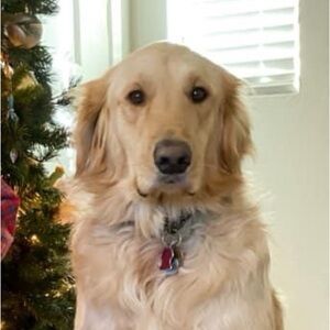 Meet your Posher, Christopher